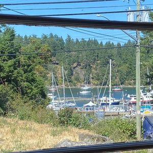 Meet your Posher, Maddie